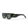 Sunglasses Brixton CHPO Brand